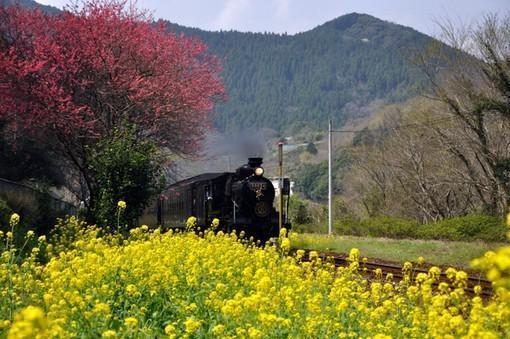 #生肖#只会败家，不会顾家的三大星座