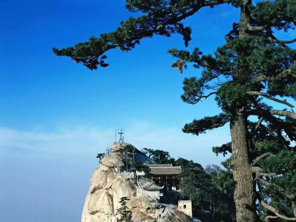 「」一发发大财，4月下旬转大运，中大奖，4生肖天上掉财、地上生金