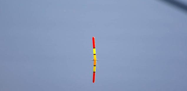 [玉米]垂钓界的“素饵之王”，通常是这样使用的，你会吗？