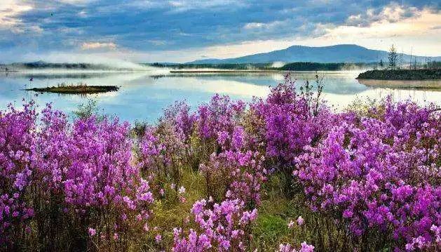 内蒙古▲中国突然公布一组内蒙古新照,最近千万别去那里!