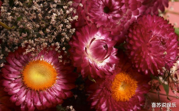 『星座男』命里不缺男人的3大生肖女,一生烂桃花不断,夫妻经常吵闹!