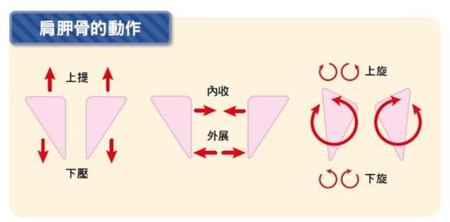 健身|提高「健身效果」3个小技巧,选对方法让你事半功倍!