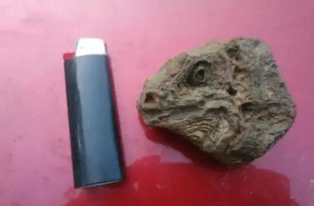 UFO|17张不可思议的巧合照片，你可能一辈子都遇不到！