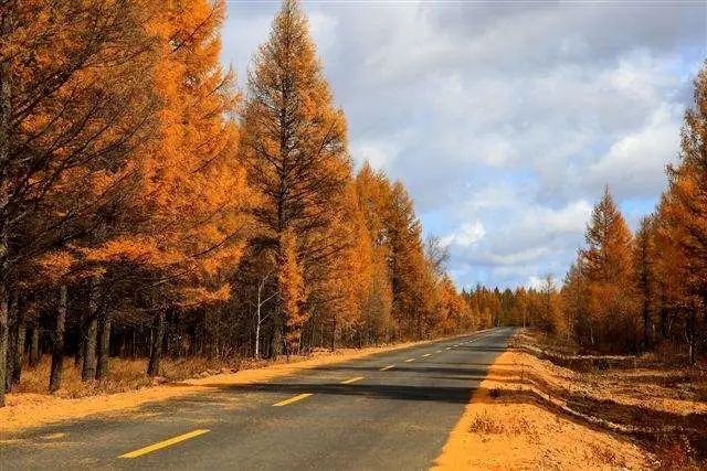 内蒙古▲中国突然公布一组内蒙古新照,最近千万别去那里!
