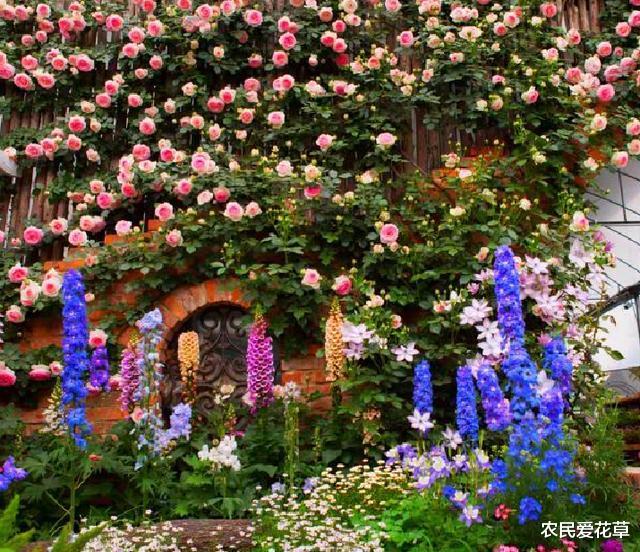 『』想让小院阳台美如“仙境”，需要“2个小技巧”，明眼人一看就会