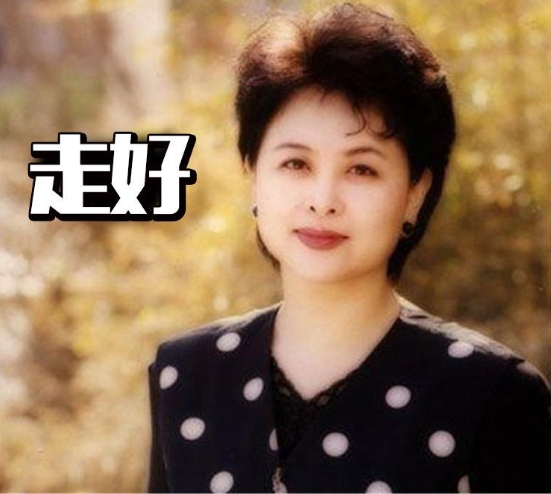 肖晓琳|央视“铁面美人”肖晓琳，55岁客死异乡，临终遗言让人警醒