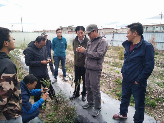 欧洲旅游|我国唯一没有树的城市，面积是瑞士的4倍，可没有一棵活树