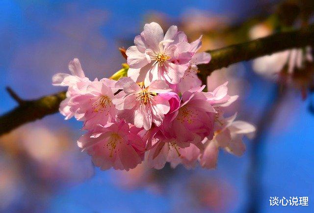 『生肖』5月初，蓦然回首，痴情难收，3星座守得云开见月明，相约今生携手