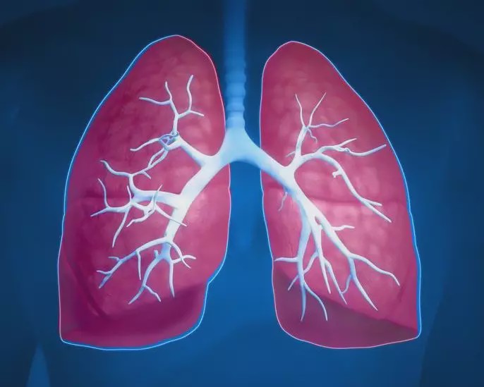 咳嗽：肺部异常，一般会有四种明显表现，能坚持三件事，肺部越来越好！