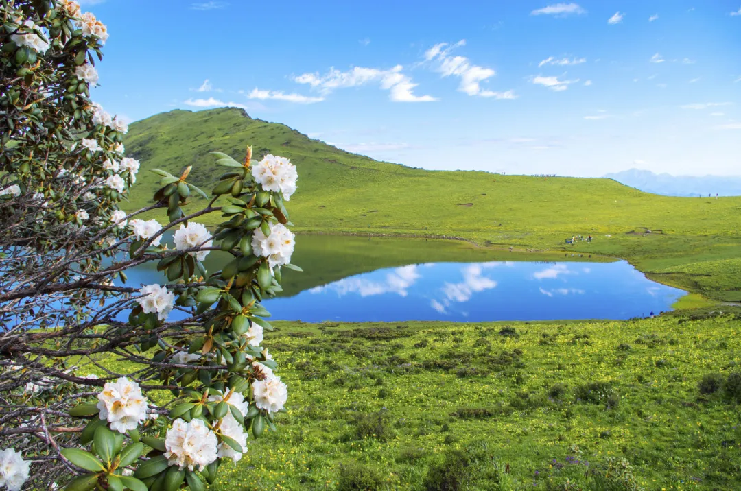 九寨沟:除了九寨沟,阿坝到底还藏了哪些绝世美景?