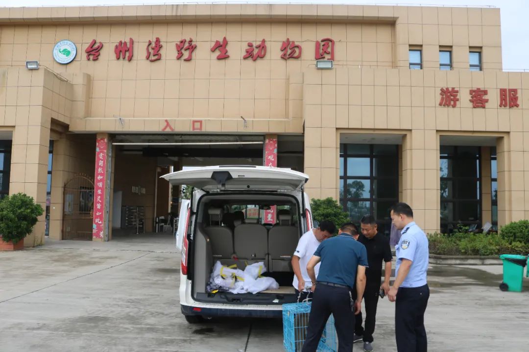 浙江法制报|这也能当宠物养？女子高调晒朋友圈，惹上大麻烦！