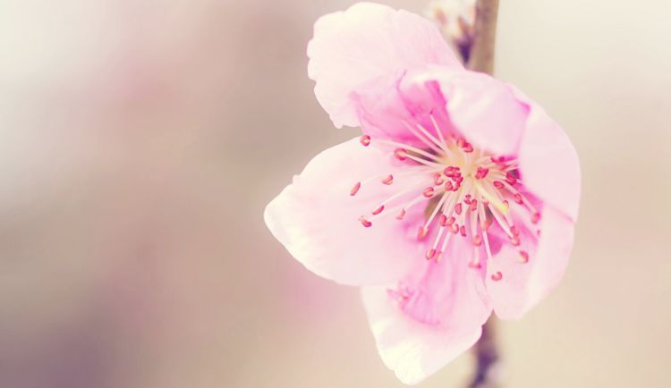 『后代』夫妻里有这属相，后代有才华，有能力，前程似锦，羡煞旁人