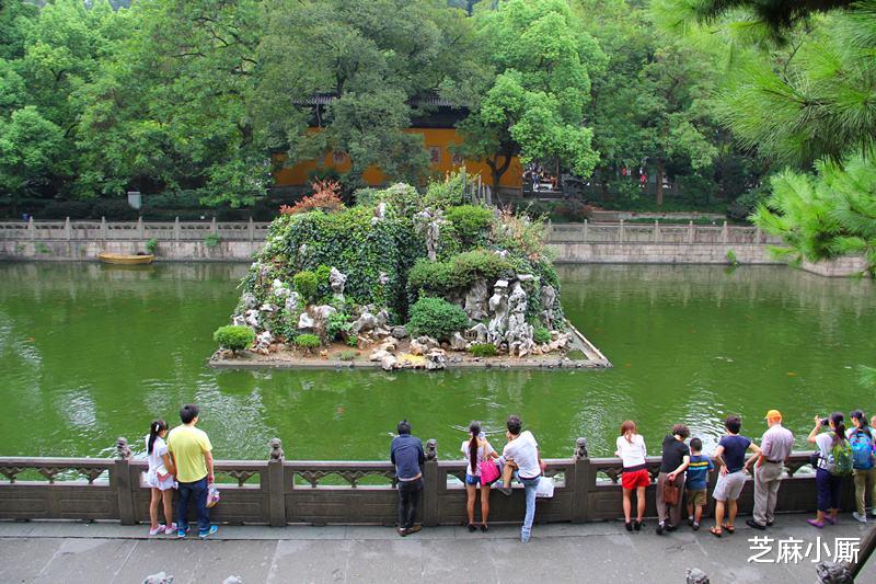 『西湖』入侵西湖的外来物种，为何每逢夏季就泛滥？看看这些游客都干了啥