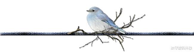 显卡|电脑的能源中心“电源”,看看有多么重要