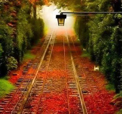 |心理测试：4条路，你最想走哪条？测你这辈子还能不能出人头地