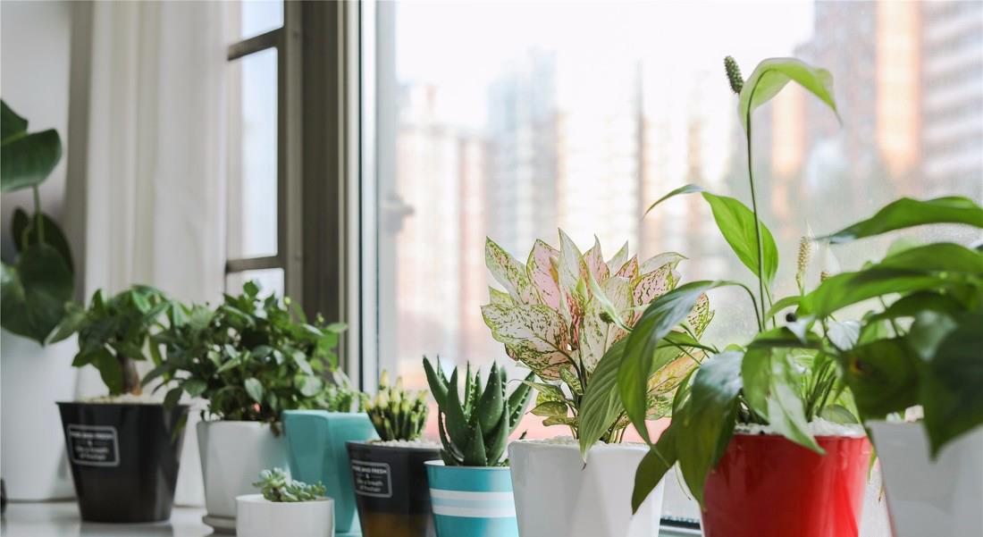 老年小妙招|看到他家60㎡的房子我酸了，颜值超高不说，而且收纳满分！有品味