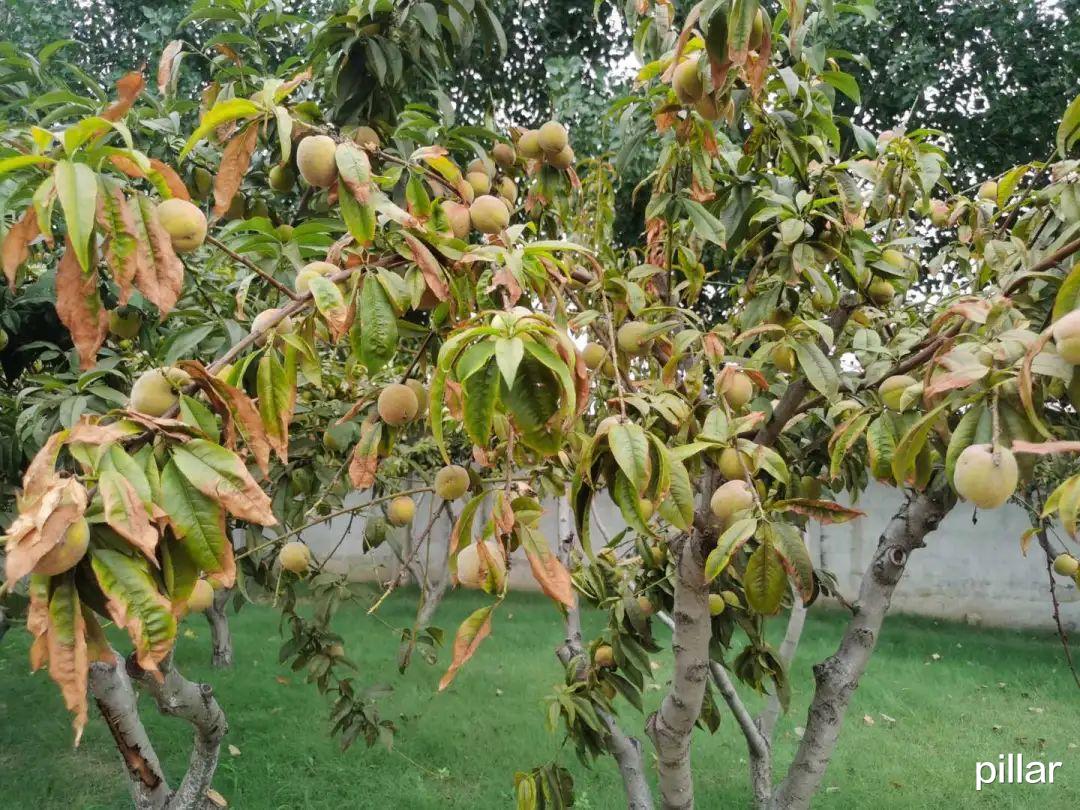 案件通报|【柱子七彩早餐】理解别人方能被别人所理解