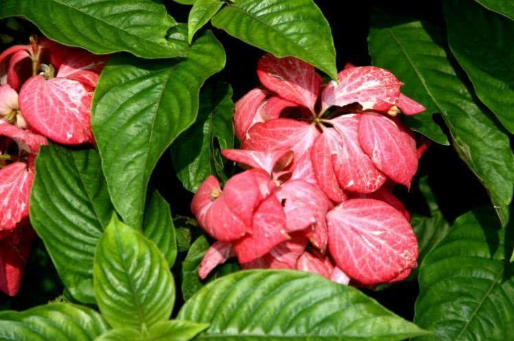 生肖|10月开始，财源广进，财帛不缺，咸鱼翻身的4大生肖