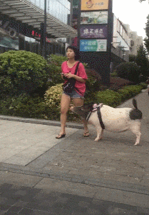 情侣|“为什么接吻要伸舌头！？”难道真的是为了减肥吗？哈哈哈哈哈～