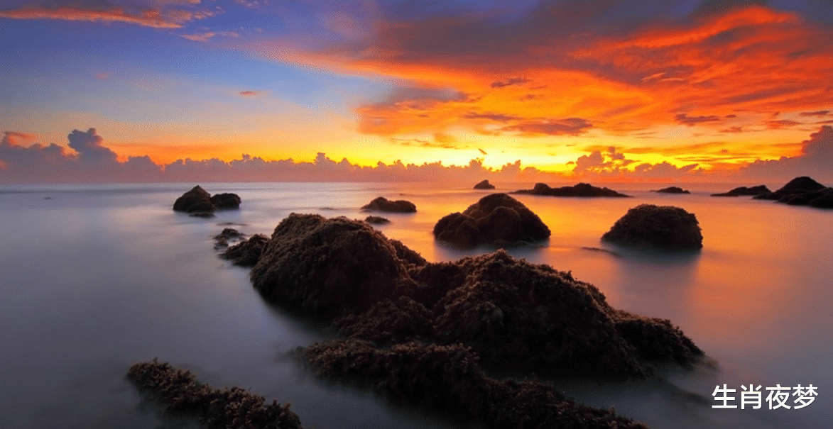 |11月，思念滚烫，爱意绵绵，喜得旧情人，再结同心，爱情复原