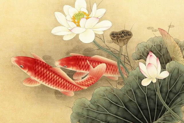 生肖@在今年运势走上坡路,财运上佳,收获满满,步步高升的3个生肖!