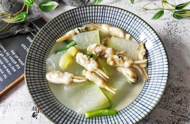 『蛏子』夏天最该喝的汤，不是骨头汤而是它，鲜美又解暑，全家都爱喝