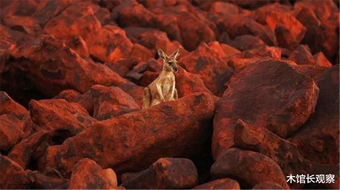 「伯明翰」“断供铁矿”后续来了，中方“如你所愿”，伯明翰几乎绝望！