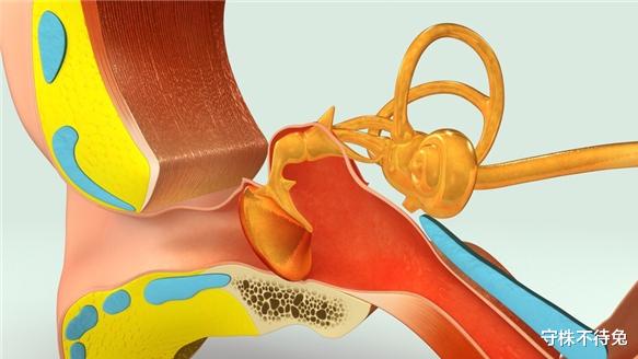 |24个冷知识：真实存在于世界，可以使人博学的有趣知识
