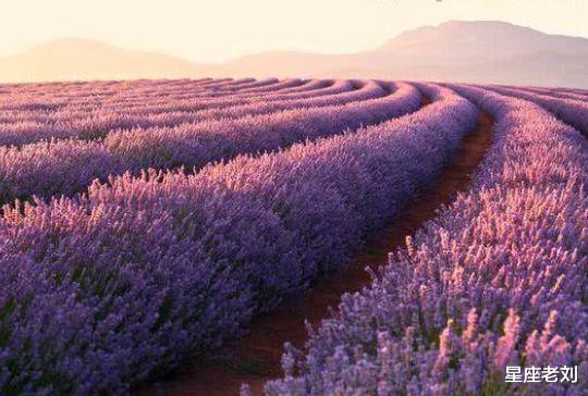 婚后生活劳碌命，日子辛苦，可子女大有作为的3个生肖女