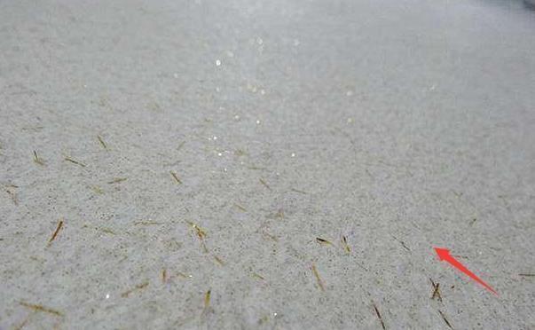 阳台还在晾衣服太浪费了, 看我家改成卧室, 隔壁邻居都夸聪明!