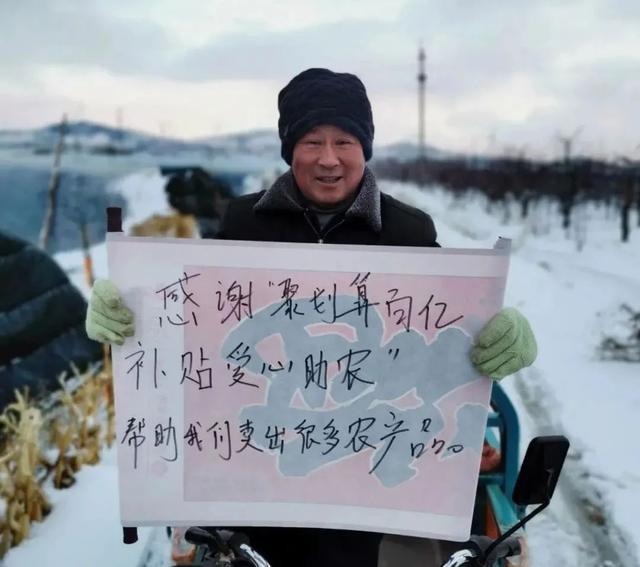 聚划算|百亿补贴决战“黄金时刻”：聚划算到底想做什么？