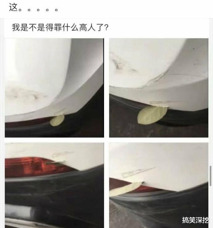 「烧烤」“头一次见，烧烤还能烤这玩意儿的...”哈哈哈奇怪的知识增长了！