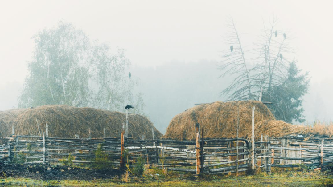 新疆维吾尔自治区:今年,一定要去一次新疆!