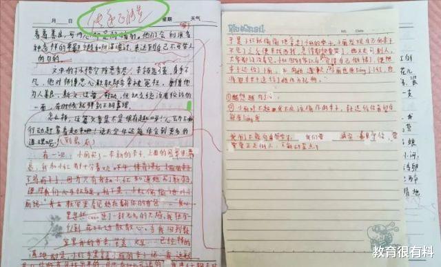 「教师」缪可馨事件背后，其语文教师可能要负刑事责任，曾收红包开辅导班