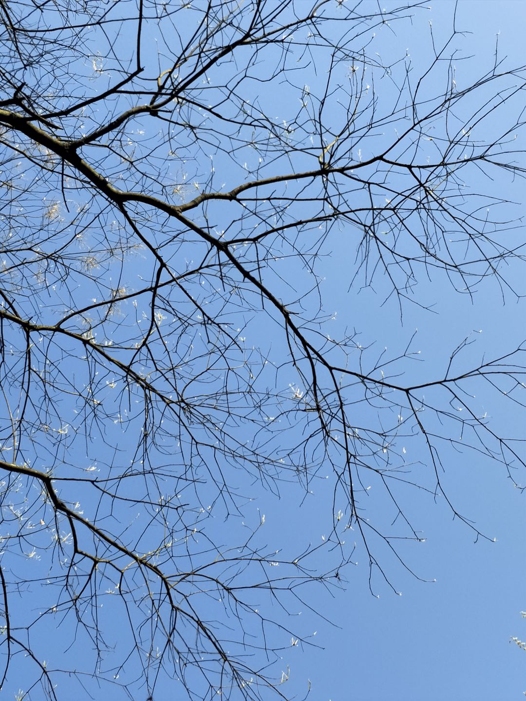 抖音|起号小分享2