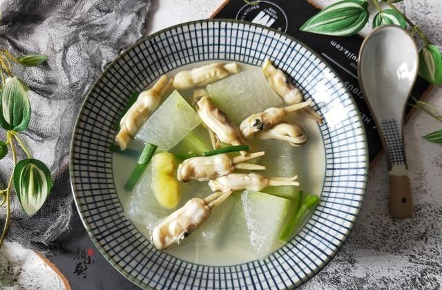 『蛏子』夏天最该喝的汤，不是骨头汤而是它，鲜美又解暑，全家都爱喝