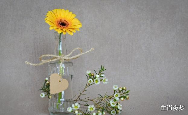 旧爱|9月，旧爱深情，心软挽留，3生肖再续前缘，命中注定，旧情复燃