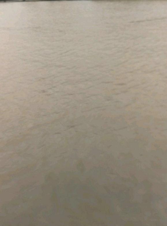 通城■军鱼？株洲钓鱼人，湘江遭遇“红眼鱼群”，非常像军鱼