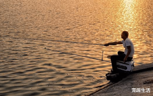 『』大鱼要被钓走，小鱼迅速把它围住，奋力要救下母亲，画面感人