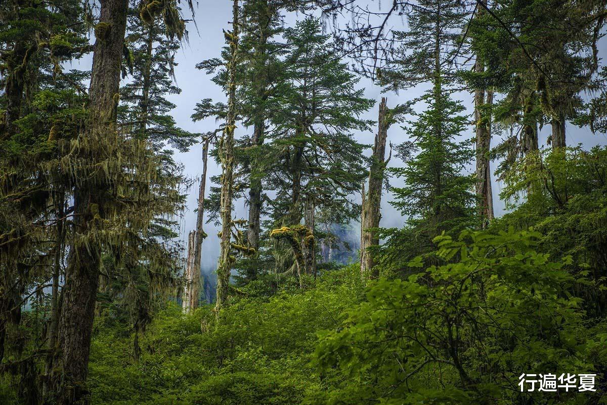 『海螺沟』我国唯一的冰山森林公园，一山有四季，十里不同天，堪称人间仙境