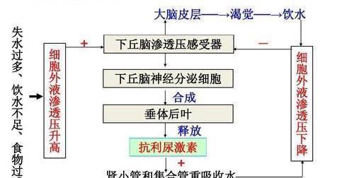 @我们为什么必须要吃盐?是因为味道还是有更深层次的原因?
