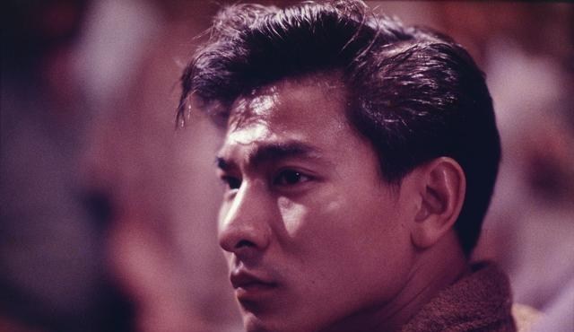 【道恩·强森】“专业”不行的刘德华却红了30年，张敏评价四个字