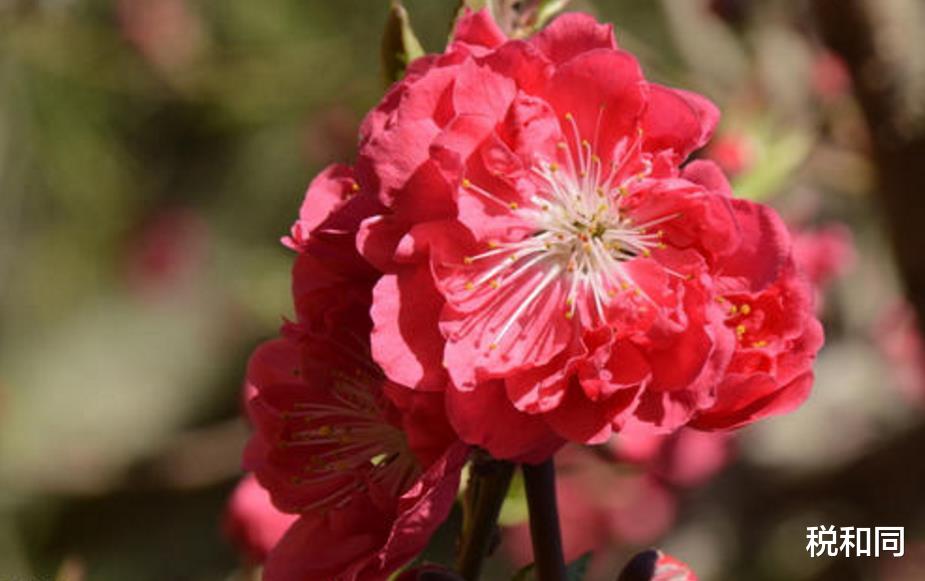 「星座男」6月28号霉运消散,苦难已过的3生肖,聚生财之局,接住了富贵连连