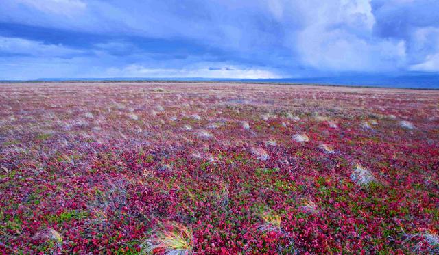 科学家|地球正在自我清理，多颗卫星同时发现，科学家：人类或要自省了！