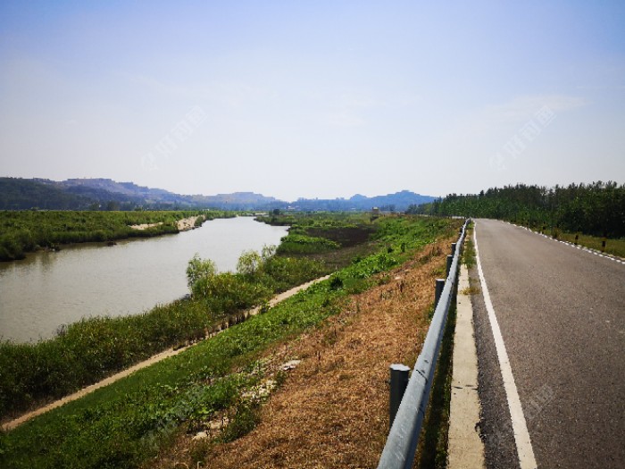 鲫鱼|许久不见，甚是想念