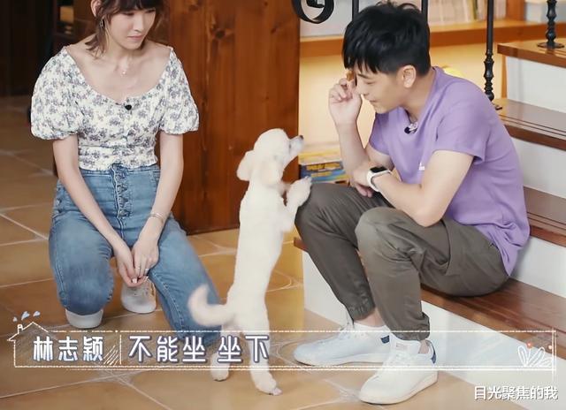 陈若仪|陈若仪终于不穿短裤露腿了,看清她的新衣服,难怪她婆婆看不惯