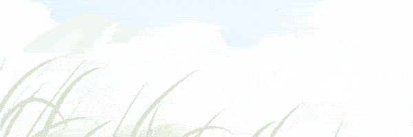 江西|江西又要多个旅游打卡地！正在全网征集……