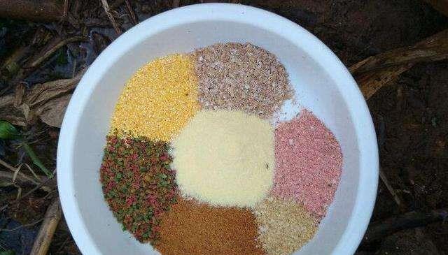 南宁|秋季钓鱼，饵料用腥还是香？老钓友这么选腥香都有鱼