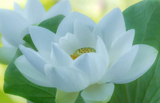 「生肖」6月事业突飞猛进，苦尽甘来，财运兴旺，存款翻倍的三大生肖