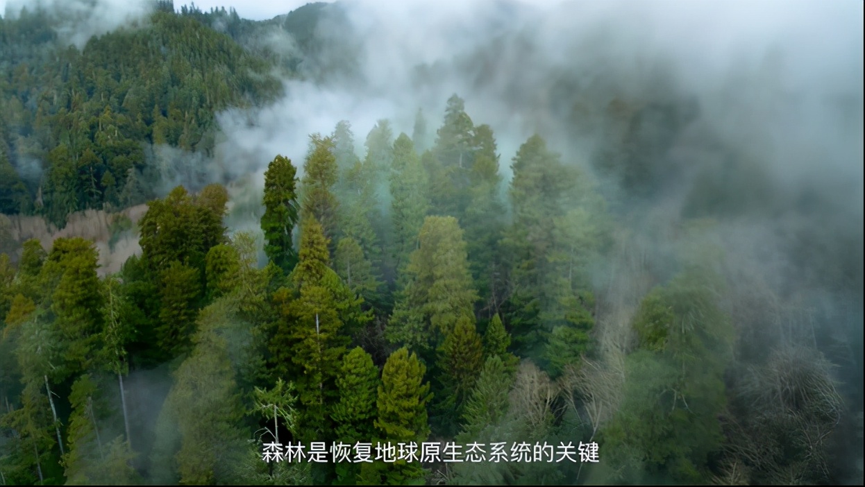 豆瓣|豆瓣9.4分，却只有两千人看过：这部纪录片，我不敢看第二遍…
